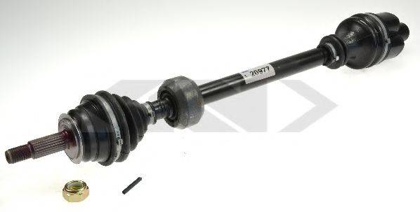 LOBRO 303081