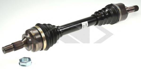 LOBRO 303248