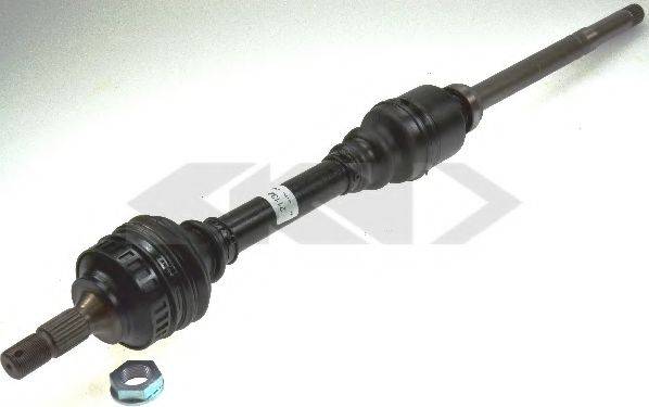 LOBRO 303251
