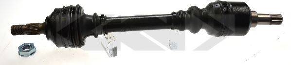LOBRO 303252