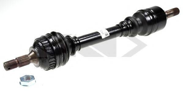 LOBRO 303253