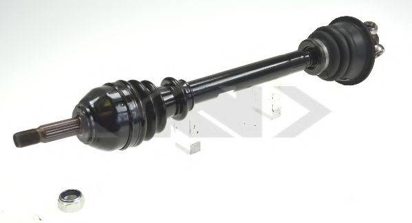 LOBRO 301862