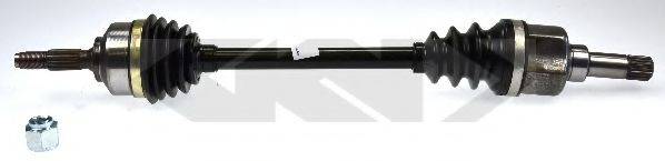 LOBRO 303469
