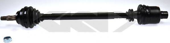 LOBRO 302903