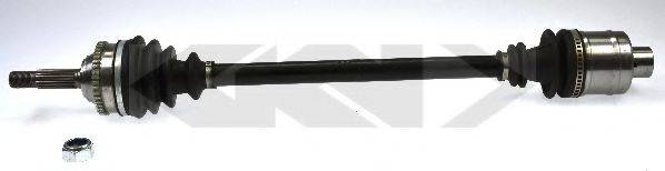 LOBRO 303622