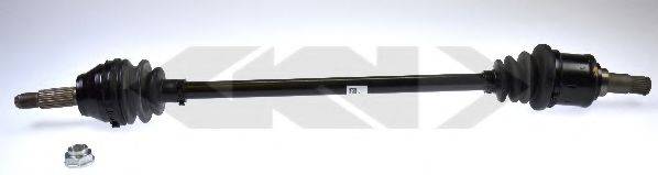 LOBRO 304271