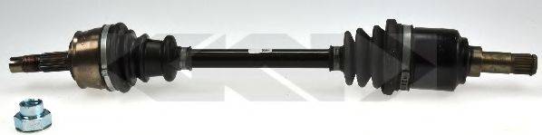 LOBRO 304366