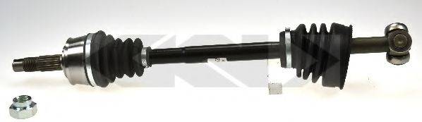LOBRO 304372