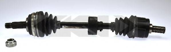 LOBRO 303774