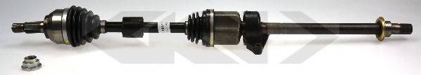 LOBRO 304448