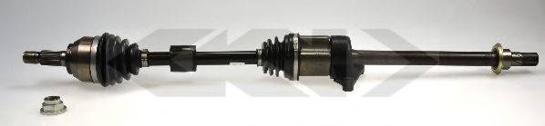 LOBRO 304450
