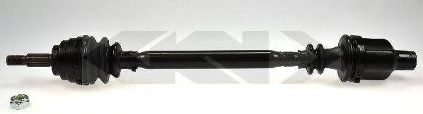 LOBRO 304468