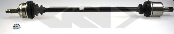 LOBRO 304520