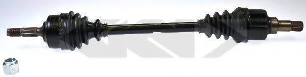 LOBRO 304572