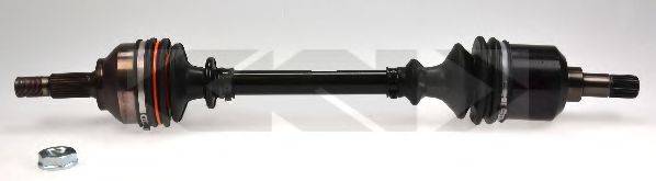 LOBRO 304581