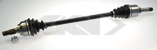 LOBRO 304591