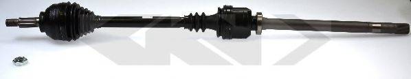 LOBRO 304713