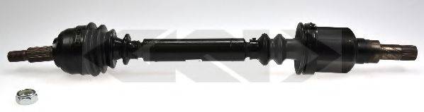 LOBRO 304718