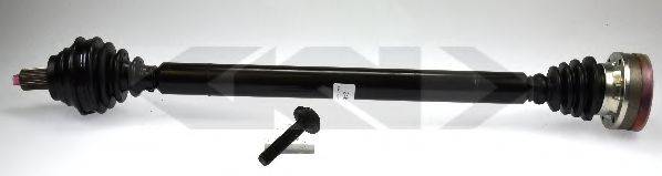 LOBRO 304753