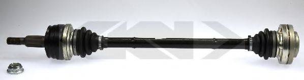 LOBRO 304804
