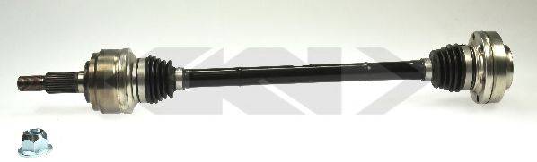 LOBRO 304850