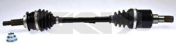 LOBRO 304870