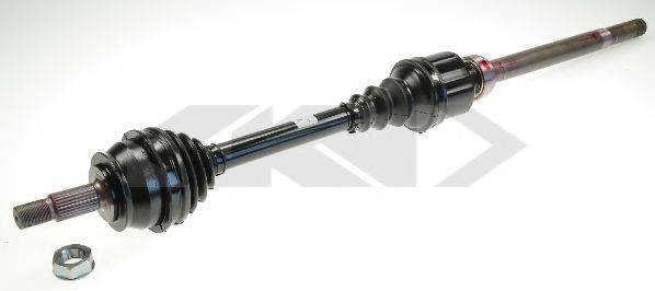LOBRO 305099