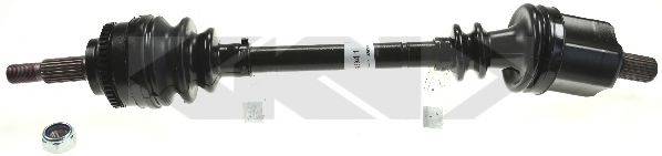 LOBRO 305190