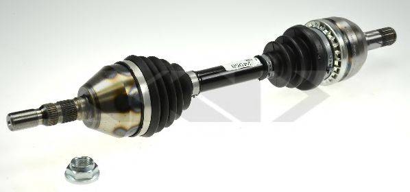 LOBRO 305207