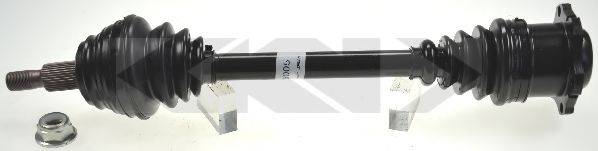 LOBRO 305251
