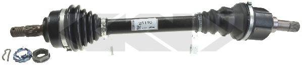 LOBRO 305339
