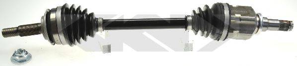 LOBRO 305624
