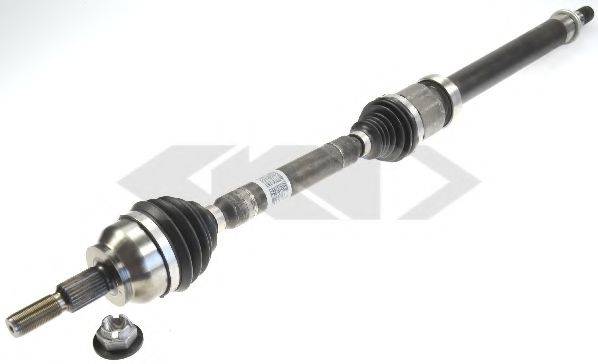 LOBRO 305635