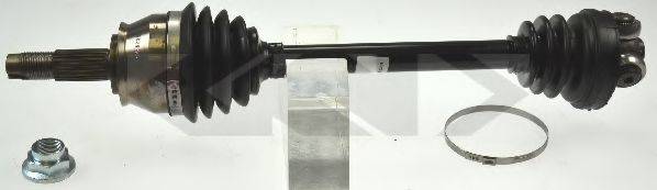 LOBRO 305862