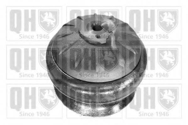 3RG 40520 Підвіска, двигун