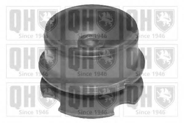 QUINTON HAZELL EM4194