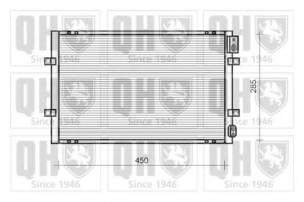 QUINTON HAZELL QCN126