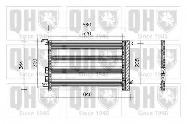 QUINTON HAZELL QCN202