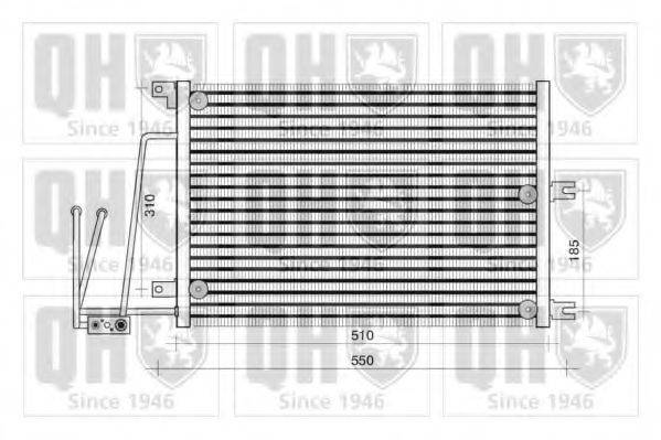 QUINTON HAZELL QCN312