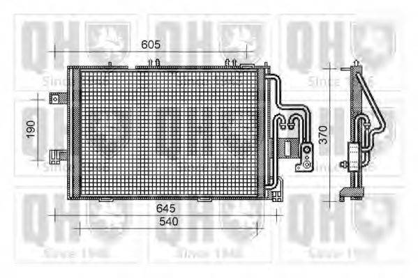 QUINTON HAZELL QCN316