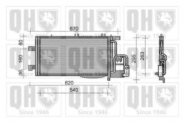QUINTON HAZELL QCN404