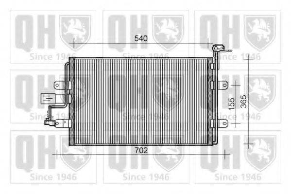 QUINTON HAZELL QCN484