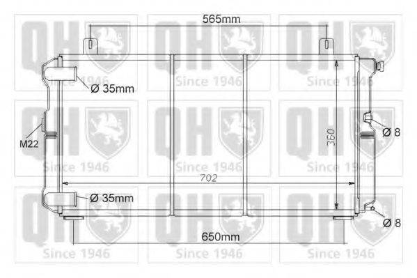 QUINTON HAZELL QER1044