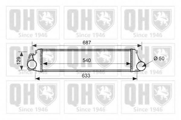 QUINTON HAZELL QIC119