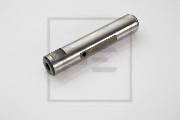 DT 4.50280 Палець вушка ресори