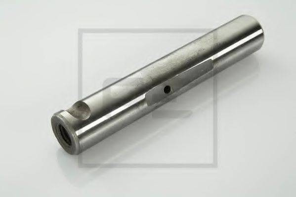 SAMPA 020112 Палець вушка ресори