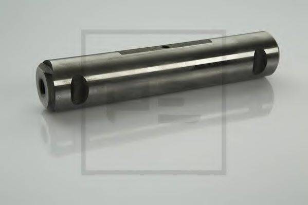 DAF 0 501 576 Палець вушка ресори