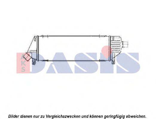 AKS DASIS 077000N