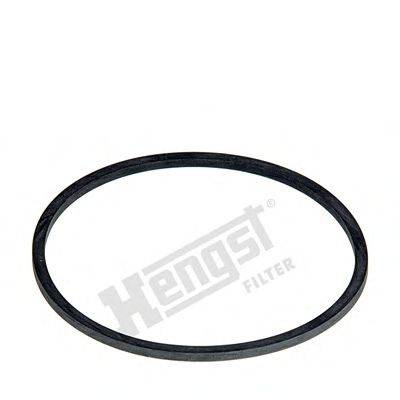 HENGST FILTER D10 Прокладка