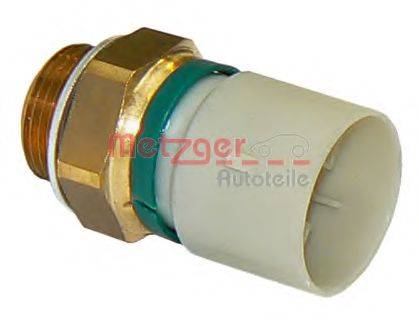 METZGER 0915218